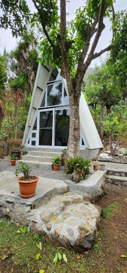 Hostel Pink House San Lucas Tolimán Exterior foto