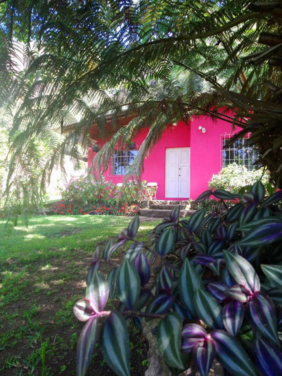 Hostel Pink House San Lucas Tolimán Exterior foto