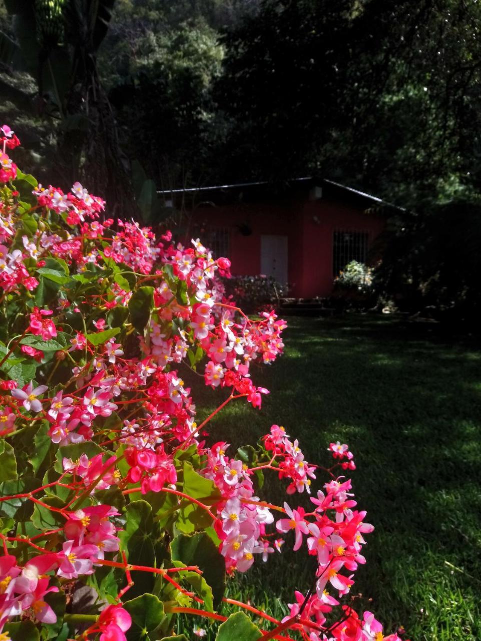 Hostel Pink House San Lucas Tolimán Exterior foto
