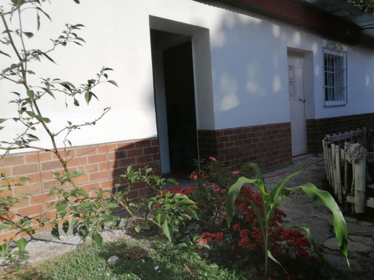Hostel Pink House San Lucas Tolimán Exterior foto